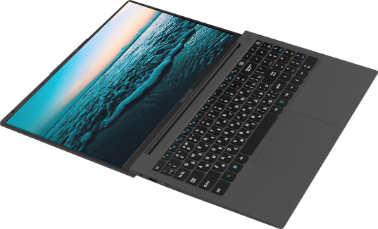 Ноутбук Rikor Pro 5 15 M-01 (A595B93D)