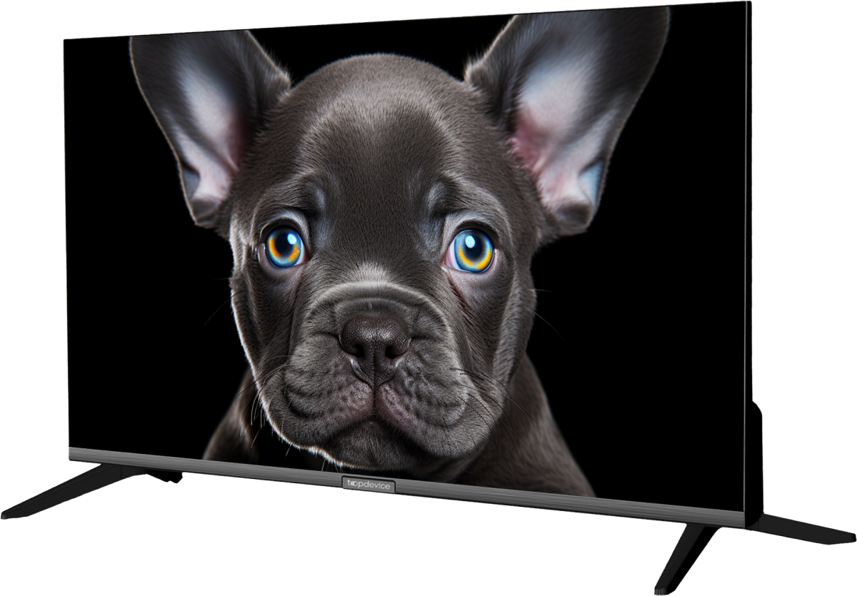 ЖК телевизор TopDevice 24" TDTV24CS08H Black