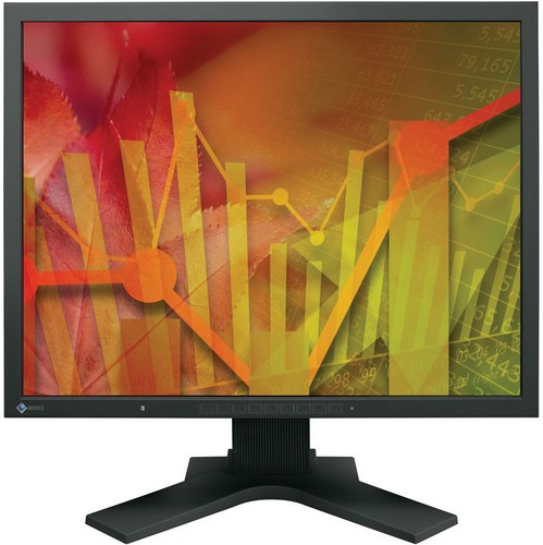 Монитор EIZO 21" FlexScan S2133 Black