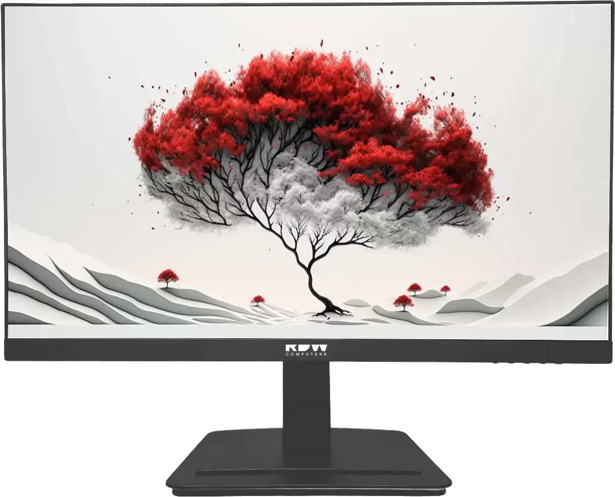 Монитор RDW Computers 24" 2401K (F00B3120V2A1)