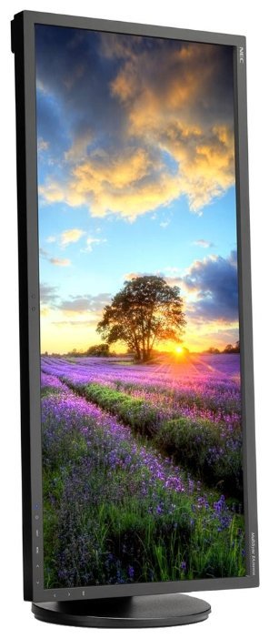 Монитор NEC 29" MultiSync EA294WMi Black