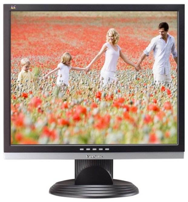 Монитор Viewsonic 19" VA916G
