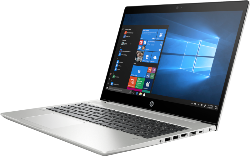 Ноутбук HP ProBook 455 G6 (9CB52ES)