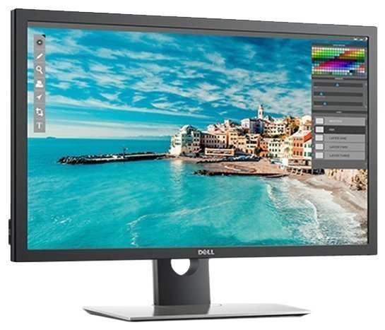 Монитор Dell 30" UP3017 (3017-4879)