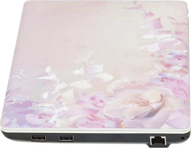 Ноутбук Lenovo IdeaPad S110 (59-322922)