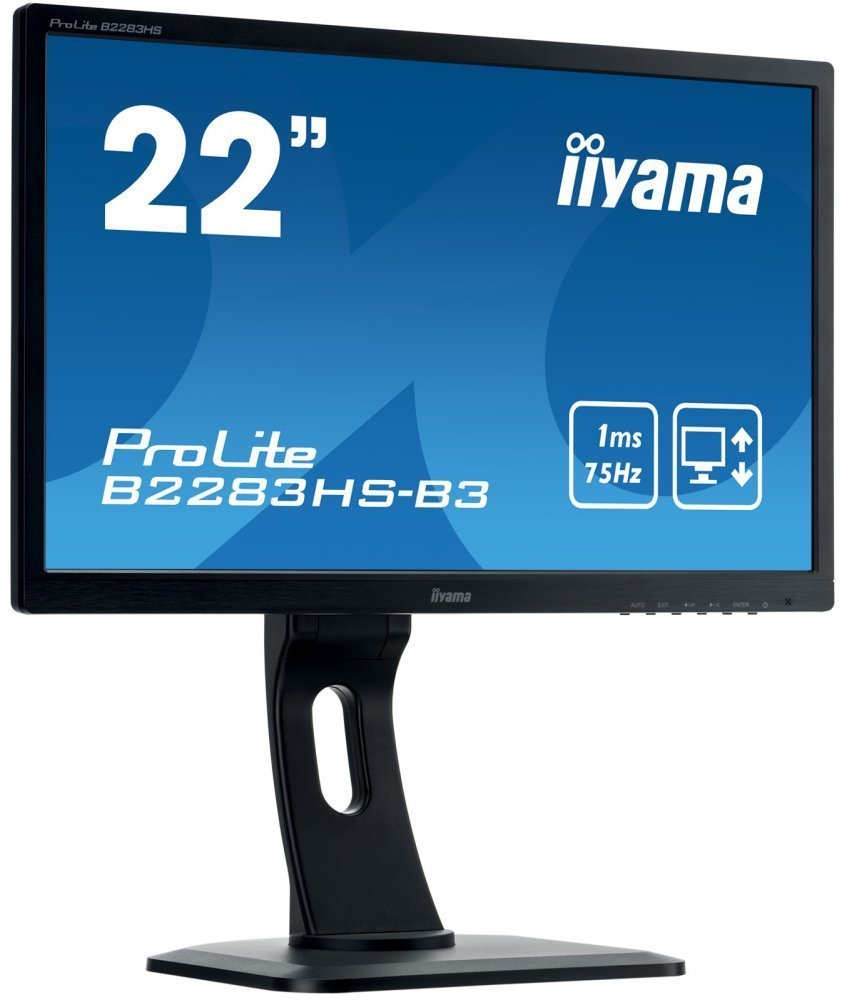 Монитор Iiyama 22" ProLite B2283HS-B3