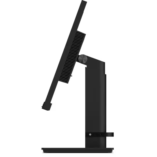 Монитор Lenovo 24" ThinkVision T24m-29 (63A5GAT6EU)