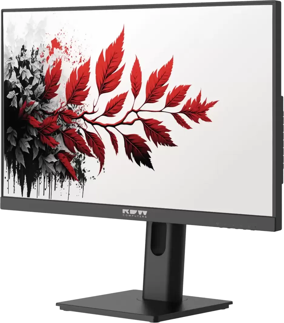 Монитор RDW Computers 27" 2701K (F08B3120V2A1)