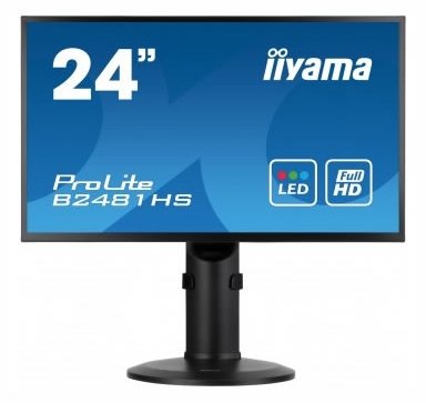Монитор Iiyama 24" ProLite E2481HS-B1