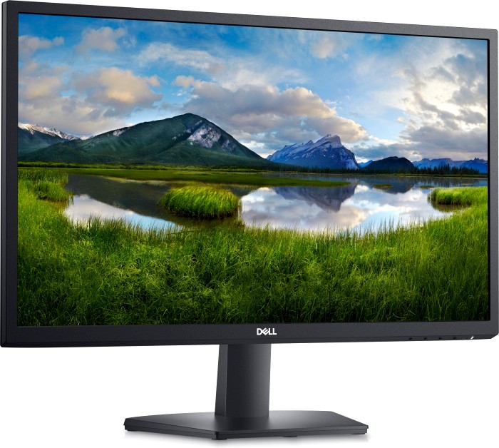 Монитор Dell 24" SE2422H (2422-5052)