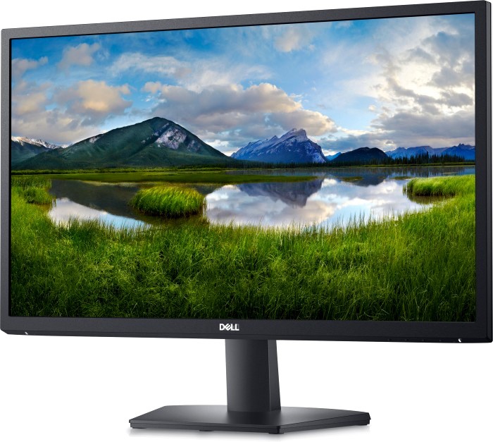 Монитор Dell 24" SE2422H (2422-5052)