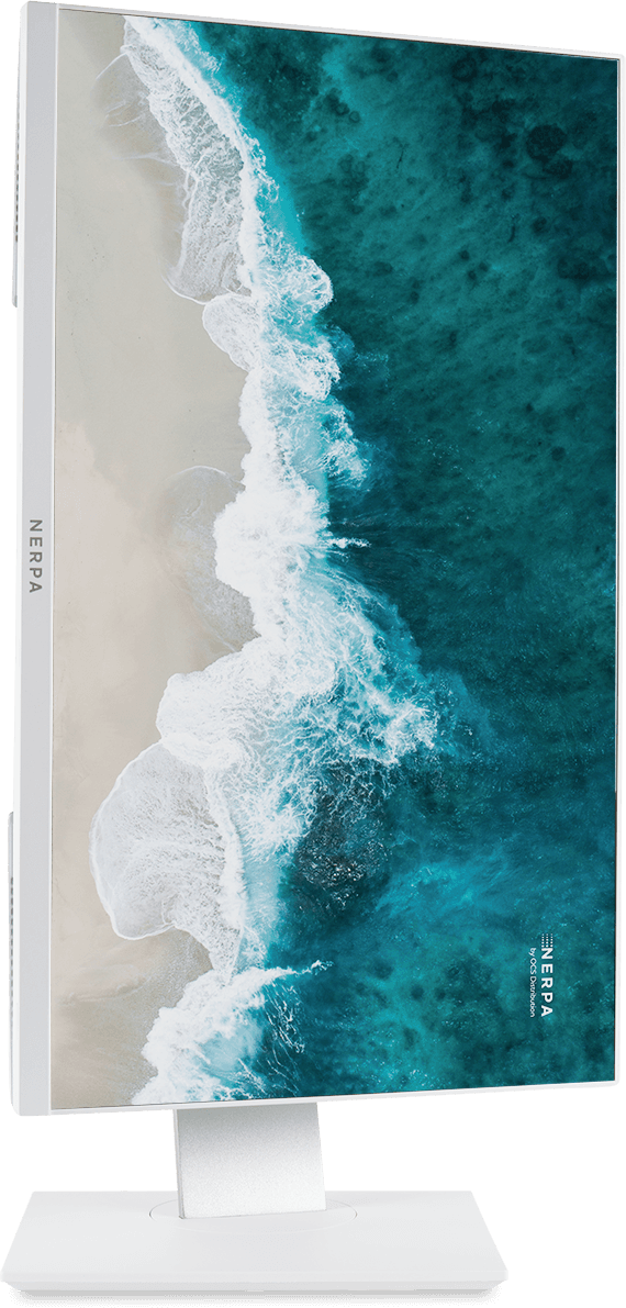 Моноблок Nerpa Saimaa 23.8 FS (I110-6900HW0812800W)