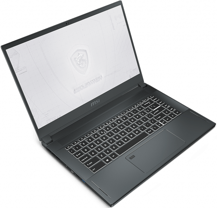 Ноутбук MSI WS66 (10TK-293)
