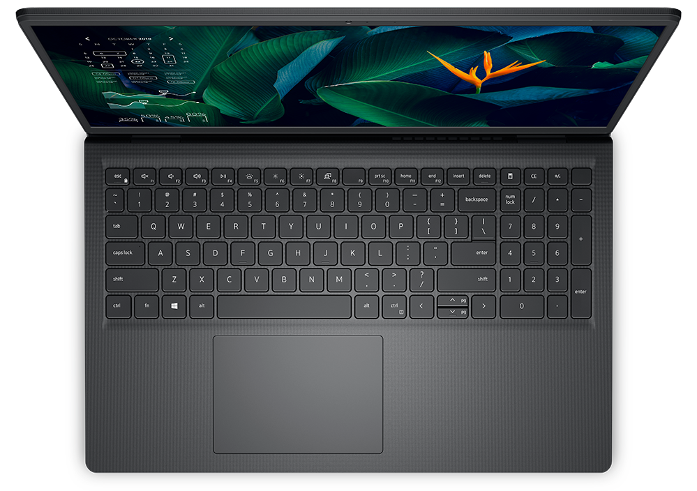 Ноутбук Dell Vostro 3515 (3515-5548)