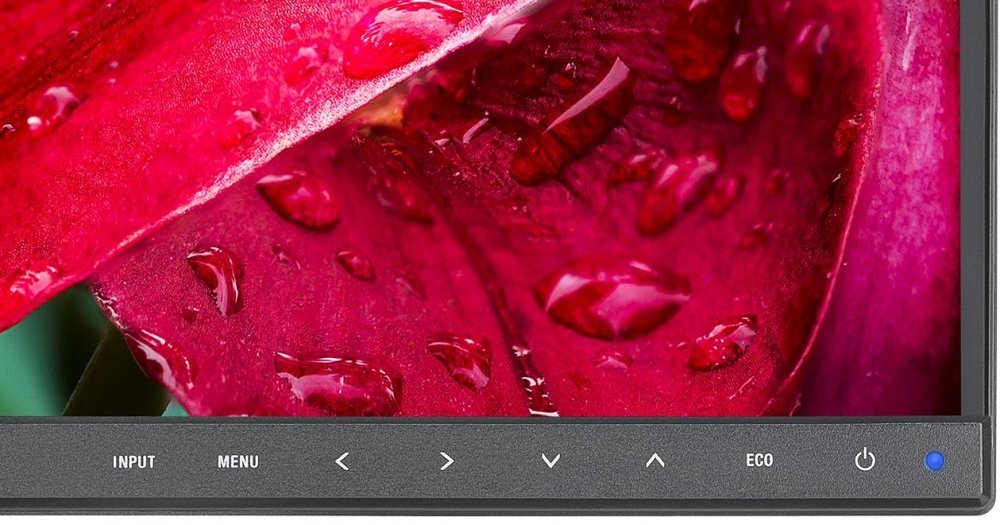 Монитор NEC 24" MultiSync EA241WU Black