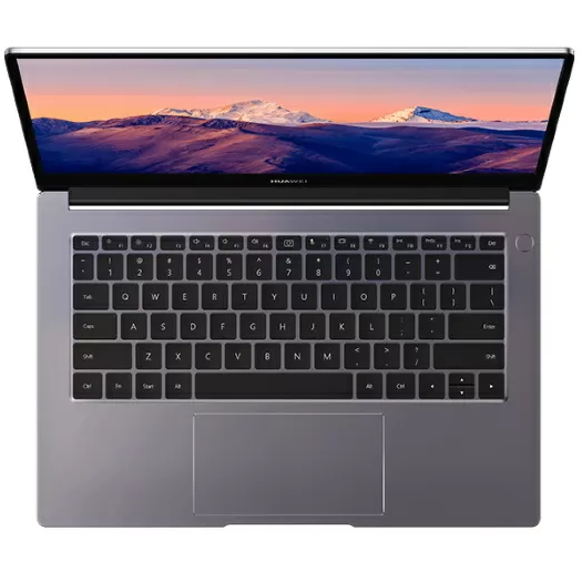 Ноутбук Huawei MateBook B3-420 NDZ-WDH9A (53013JHV)
