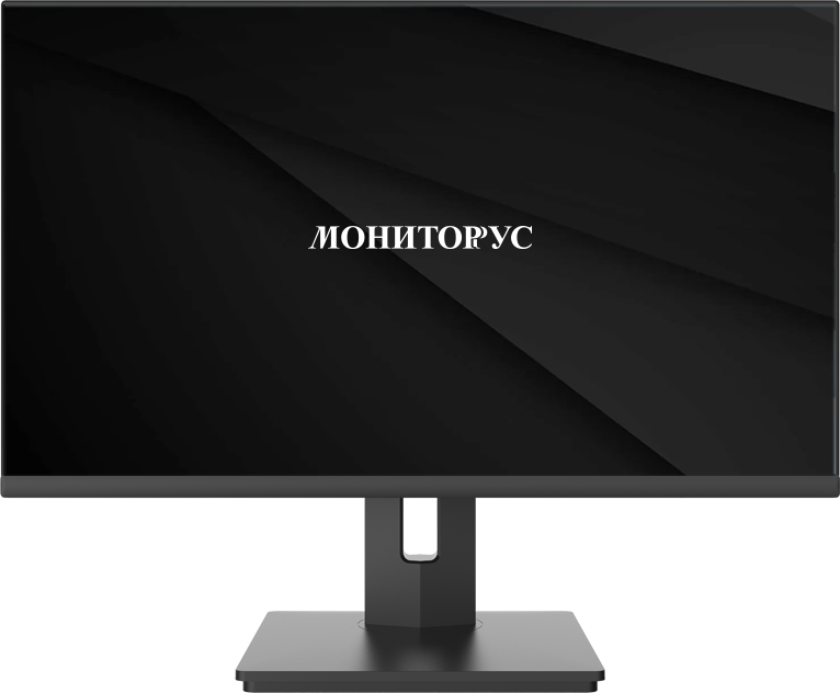 Мониторус 24" HS 2410 (WD2410-K-VHDPI-AS175Q)