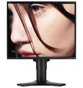 NEC 19" MultiSync 1990FXp