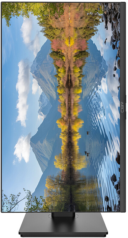 Монитор CBR 24" MD-2401