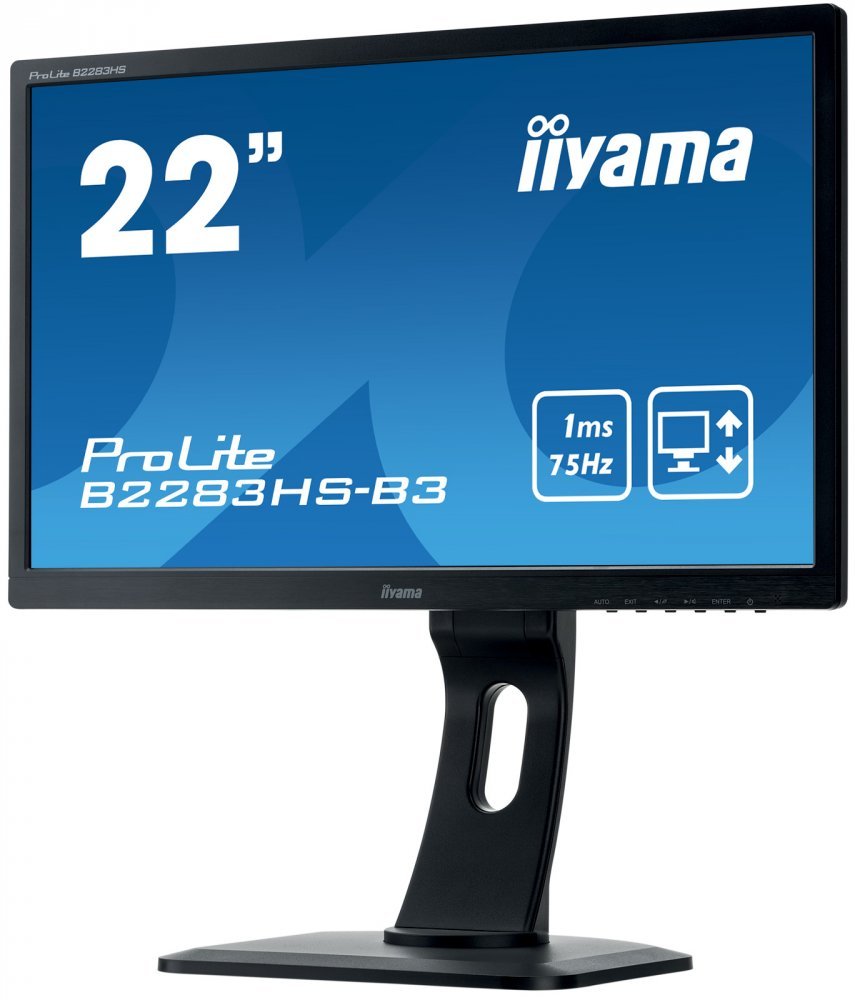 Монитор Iiyama 22" ProLite B2283HS-B3