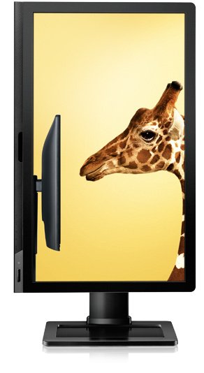 Монитор BenQ 24" BL2400PT