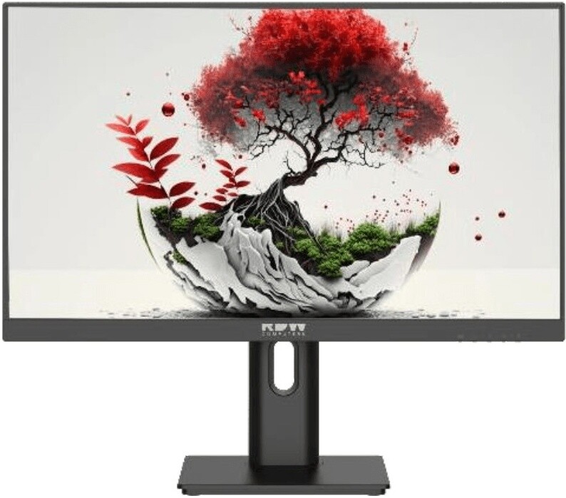 Монитор RDW Computers 24" 2401K (F08B3100V2A1A)