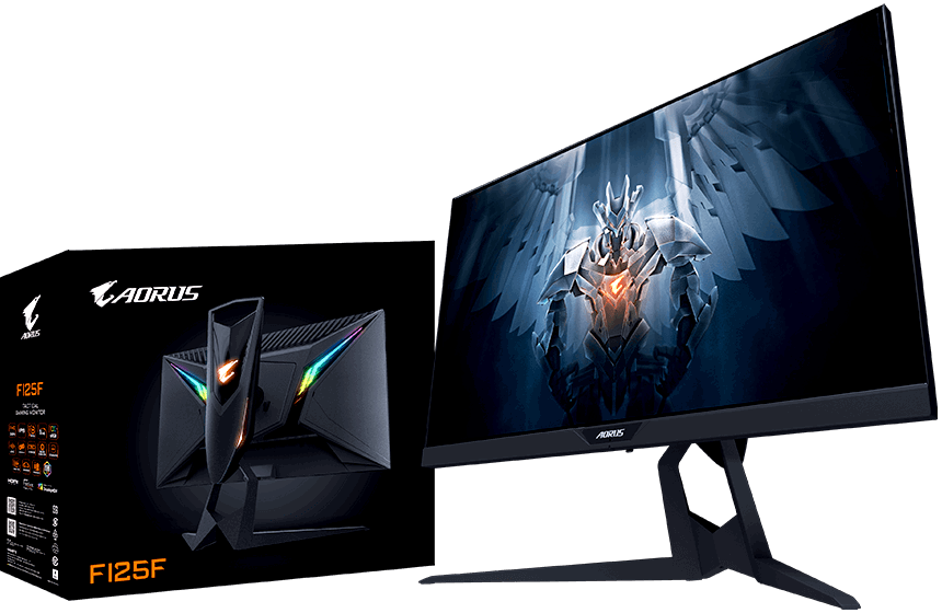 Монитор Gigabyte 25" Aorus FI25F