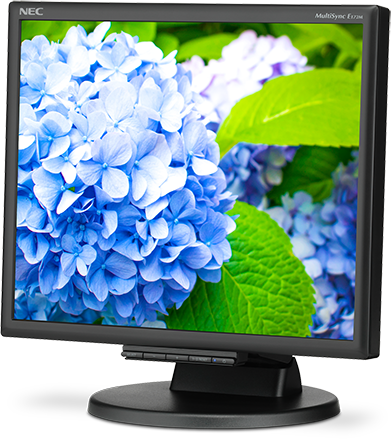 Монитор NEC 17" E172M Black