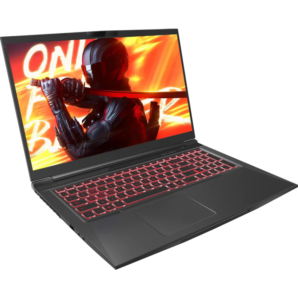 Ноутбук Maibenben X725 (X725FSFNLBRE0)