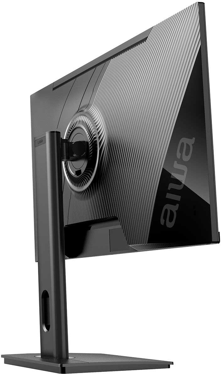 Монитор AIWA 25" MD2510