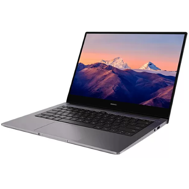 Ноутбук Huawei MateBook B3-420 NDZ-WDH9A (53013JHV)