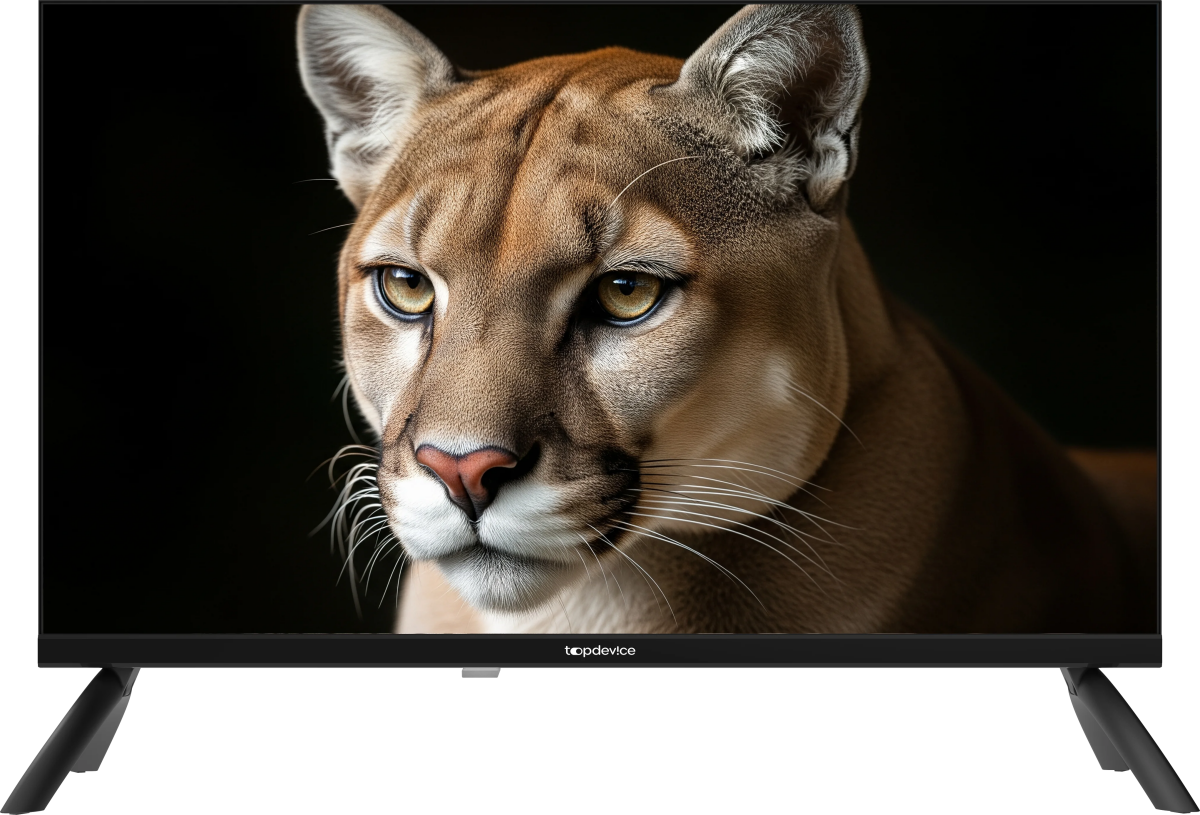 ЖК телевизор TopDevice 24" TDWC24BH1000I Black