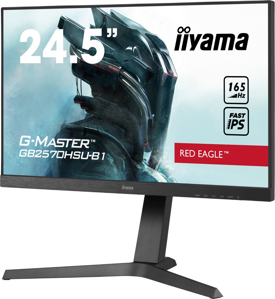 Монитор Iiyama 25" G-Master GB2570HSU-B1